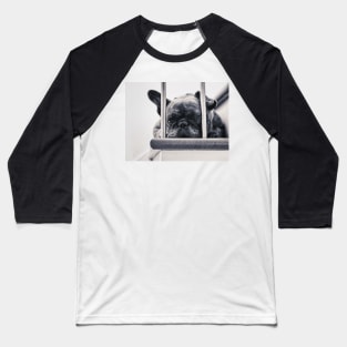 Frenchie Baseball T-Shirt